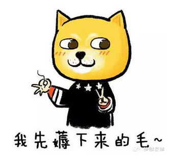 seo流量